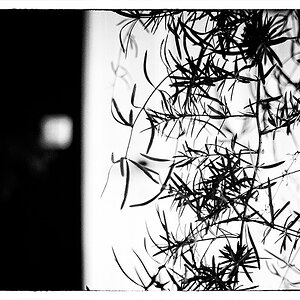 96/365
