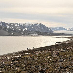 Lomfjord 8084
