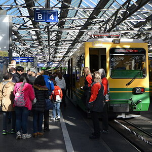Alle wollen mit