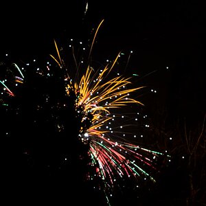 silvester