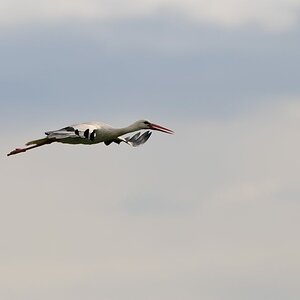 2014 04 18 16 45 30 D30 0530 copy 1000