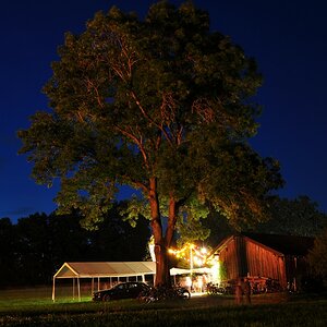 Am Rande einer Sonnwendfeier. Der Feuerschein erhellt den Baum im rot-gelblichen Licht und wirft einen Schatten auf die Scheune.
