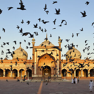 Jama Masjid Moschee, Old Delhi