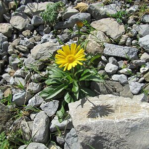 Alpstein 2011 09 22 (105)