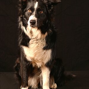 DSC 2352