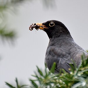 für den kleinen Hunger...