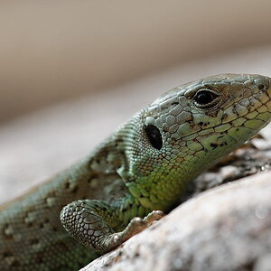 2012 04 29 17 50 12 D30 5350 copy