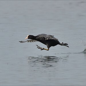 aacomp nabuwedel 20140501 2756