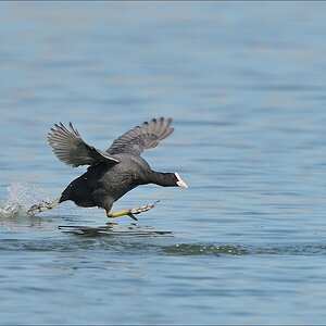 aacomp nabuwedel 20140501 0891
