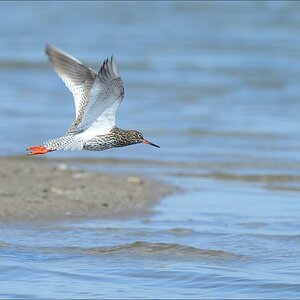 aacomp nordfriesland 20140503 1043