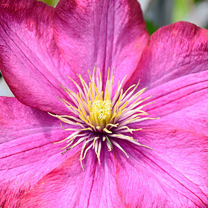 Sigma 18 200 C3334