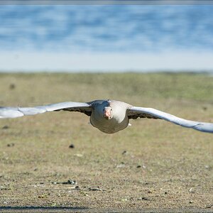 20140417 7218 [NIKON D7100] 850 mm,1 640 Sek. bei ƒ   8,0