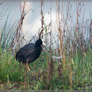20140412 7024 [NIKON D7100] 600 mm,1 400 Sek. bei ƒ   6,3