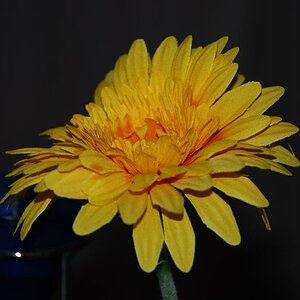 Wunderbare Blume