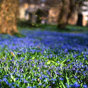 alter Nordfriedhof, München
Mamiya 645 ProTL
Sekor C 80/1.9 N
Fuji Velvia 50
Canoscan 8800F