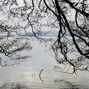 Hallwilersee