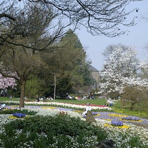 Schlossgarten am Oberen Schloss in Siegen