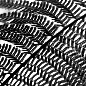 2009 04 18 0054