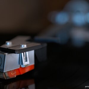 s DSC 0701