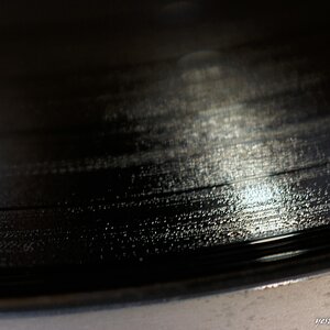 s DSC 0725