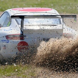 GT Masters 2008