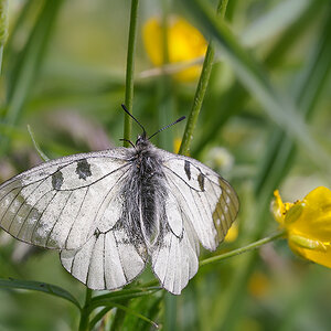20140623 100702 Kopie