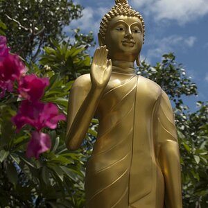 Mein Buddha