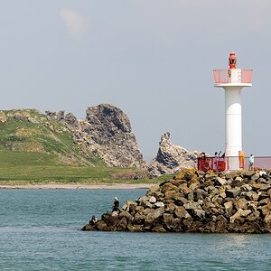 TZ DSC 5466