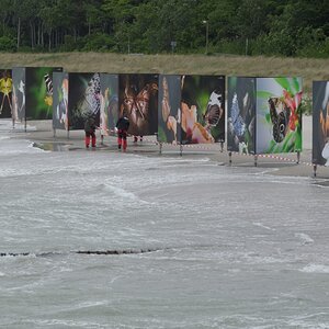 Zingst3