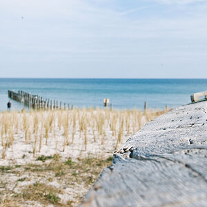Baltic Sea Flavour