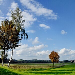 Landschaft bei Ochsenhausen Allgäu