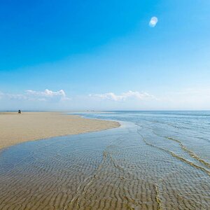 20140603 DSC 0059