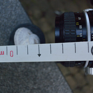 50mmDSC 5181