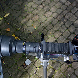 300mmDSC 5174