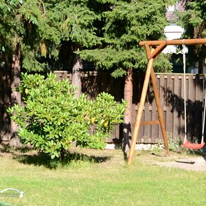 DSC 006293