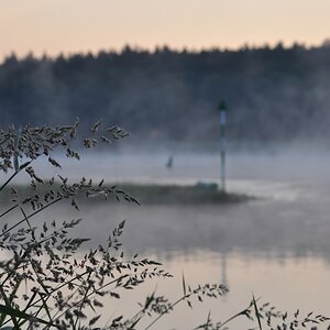 Morgens an der Elbe