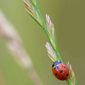 Bild LR3 .14. Juni 2014. .DSC 5792