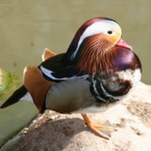 tierpark hagenbeck 192ad597 f1a6 4043 8f3e 4ab8a9ed2e2a