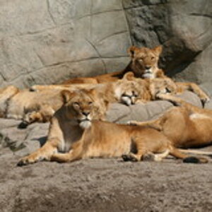 tierpark hagenbeck a89b2c0e e8ec 4271 afce 7d06aababd4a