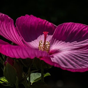 DSC 3801 01x
