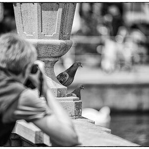 LuzernPZ1 0201