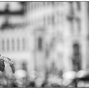 LuzernPZ1 0213