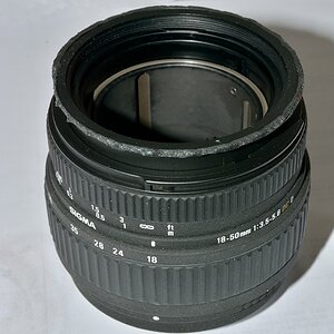 DSC 8509