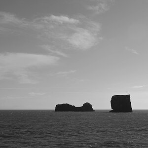DSC0298