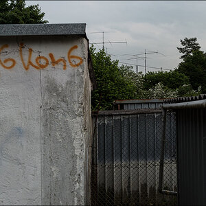 DSC 2239