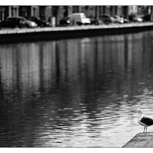 Rotterdam 20