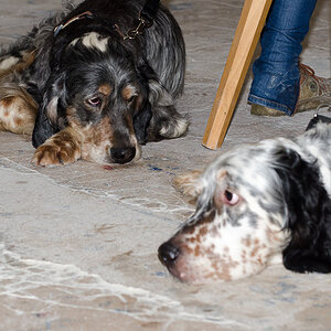 Vater & Sohn 2