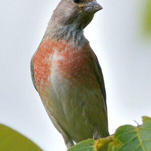 DSC 8759