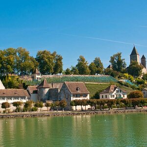 Rapperswil vom Zürichsee aus