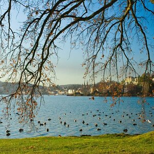 Luzern im Hintergrund mit Hofkirche